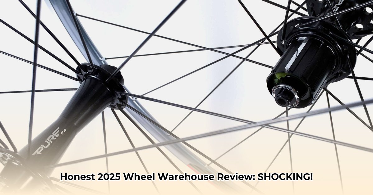 bicycle-wheel-warehouse-review